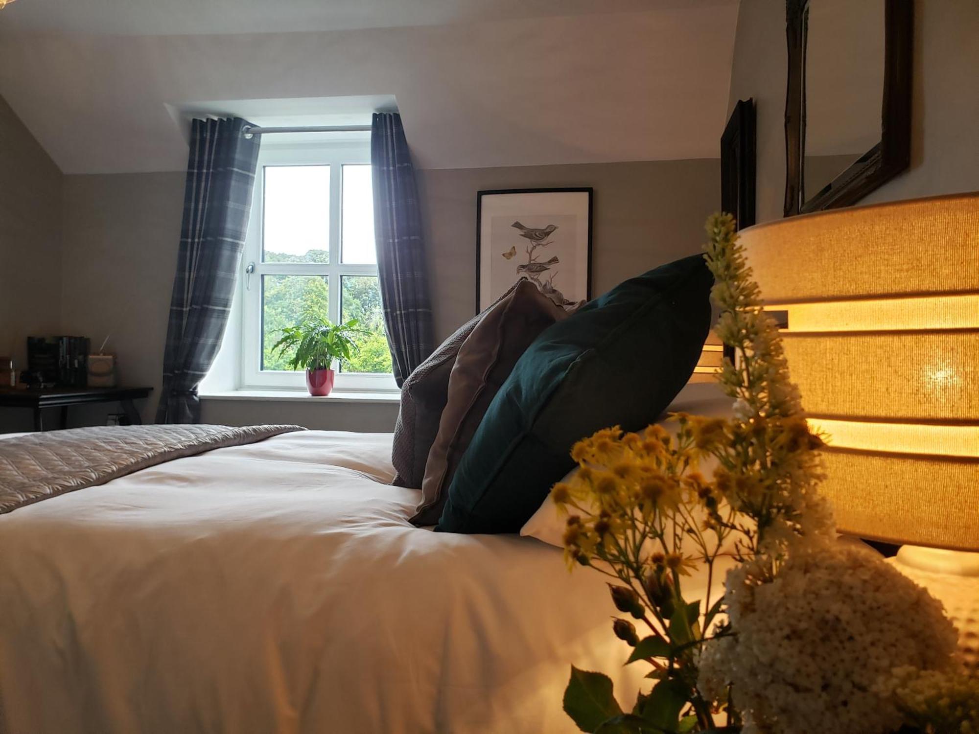 Bryansford Cottage Eksteriør bilde